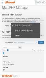IMG_3456.jpeg